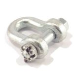 A61.09.002-01 Skavas